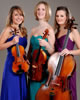 String Quartet lookalike
